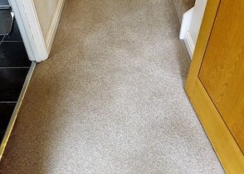 Image of a carpet following a commercial clean